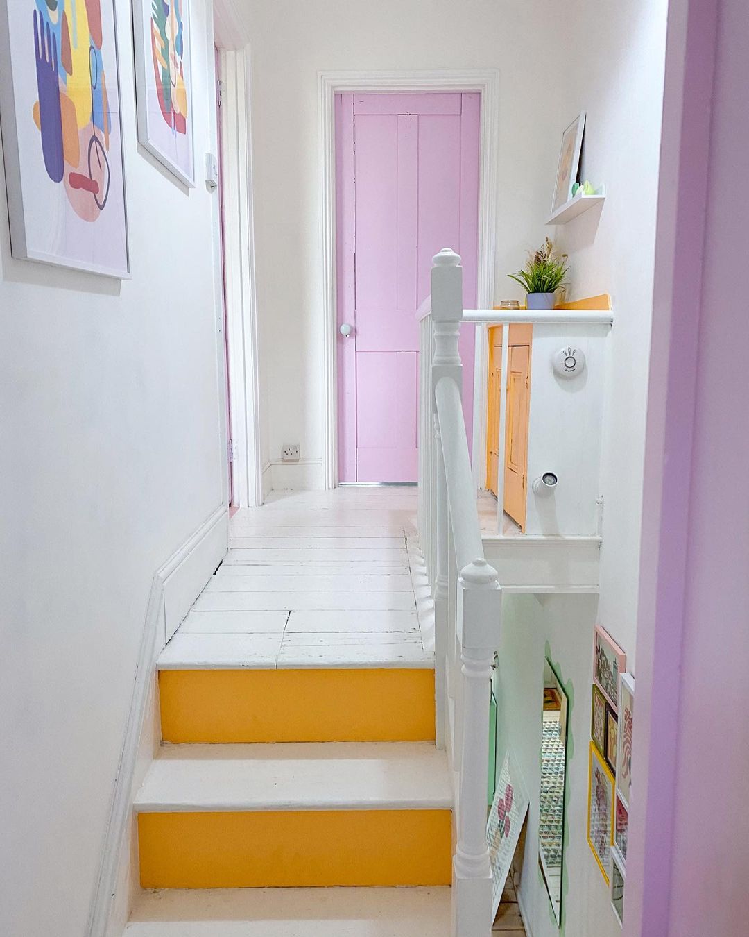 Pop brights
