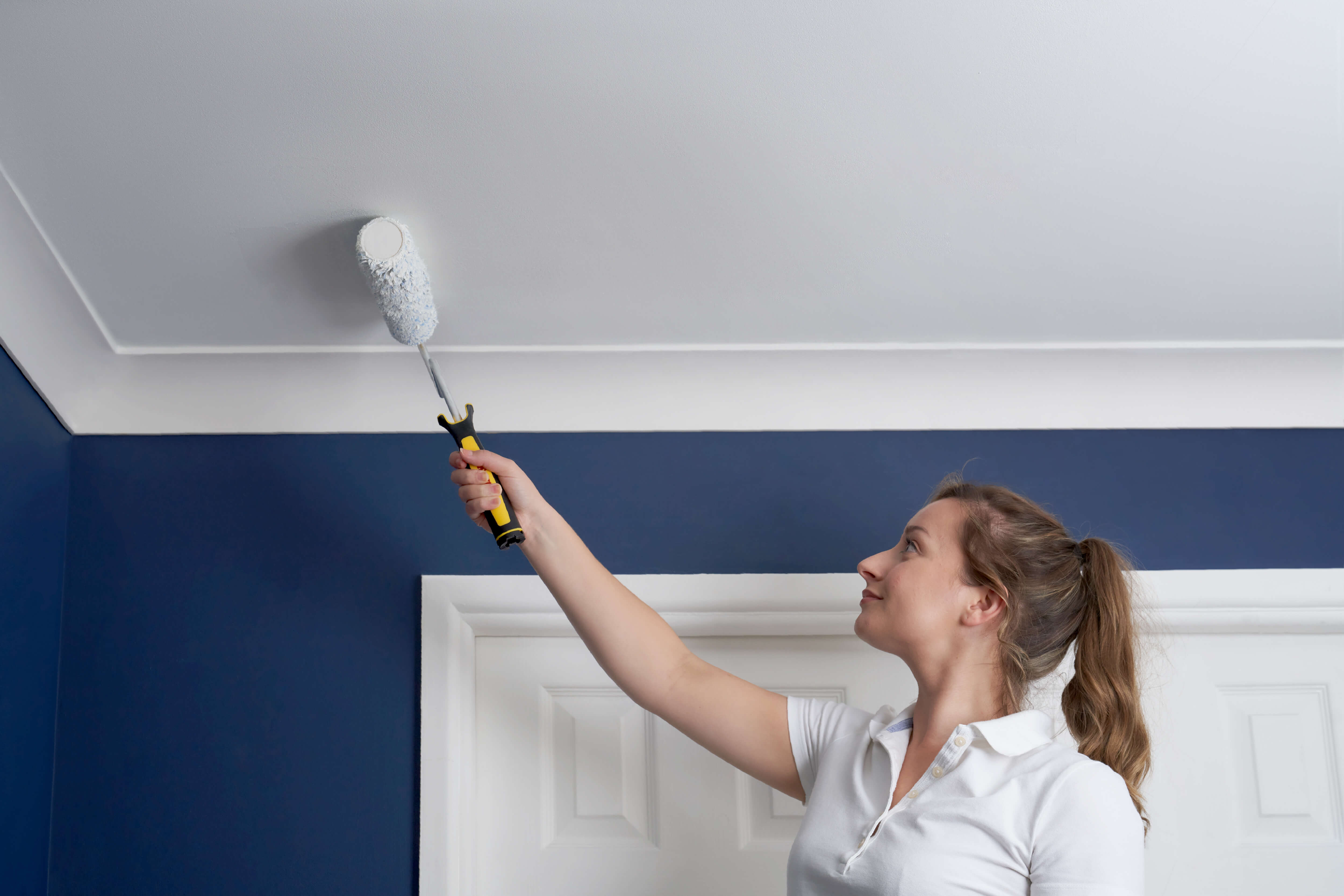 Trade Walls & Ceilings